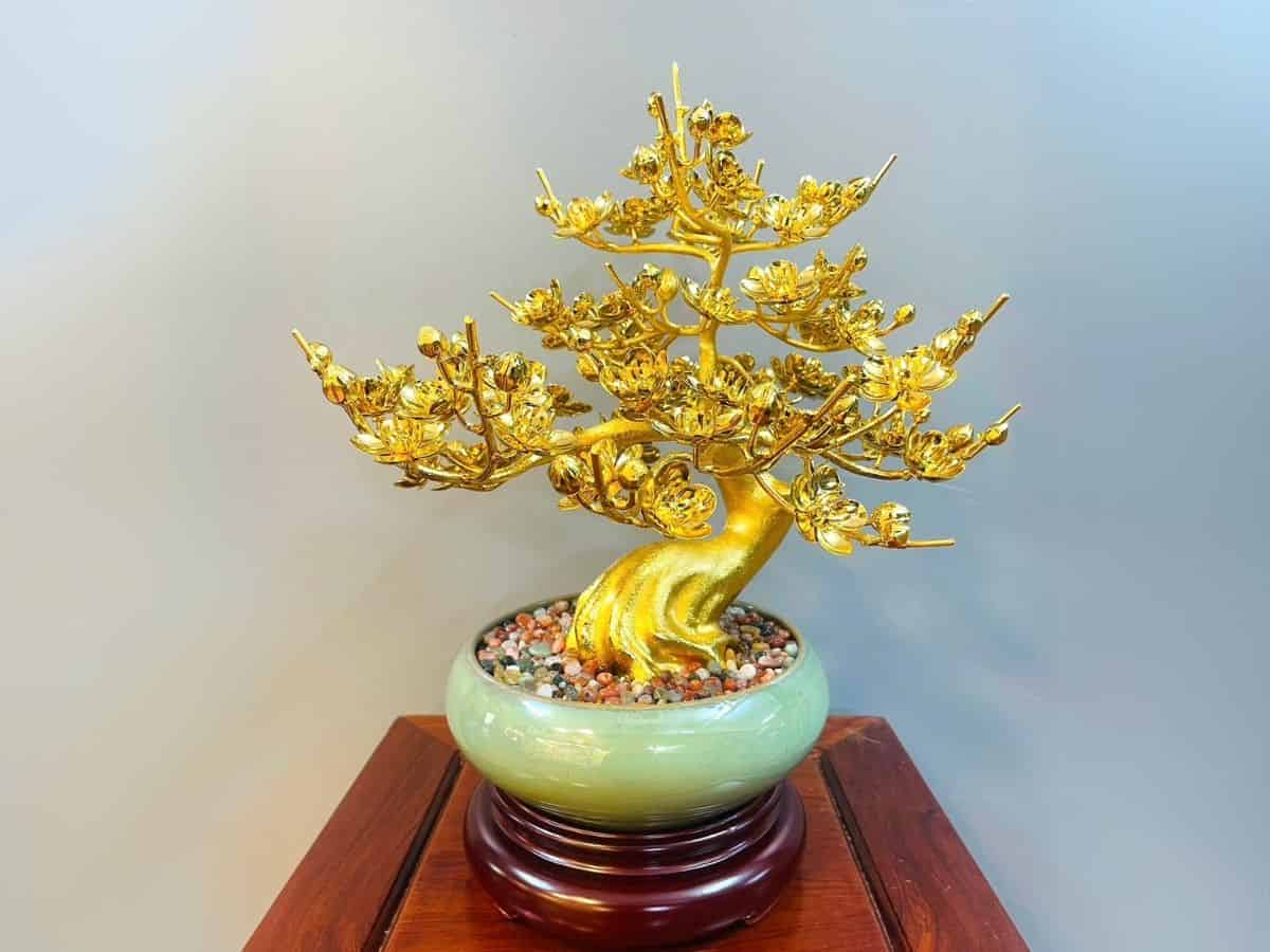 Bonsai Hoa Mai Đồng Mạ Vàng 24K MNVHD02